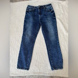 Articles of Society The Jones Jeans High Rise Size 10 / 30 Waist